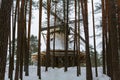 Dutch windmill behind the pines